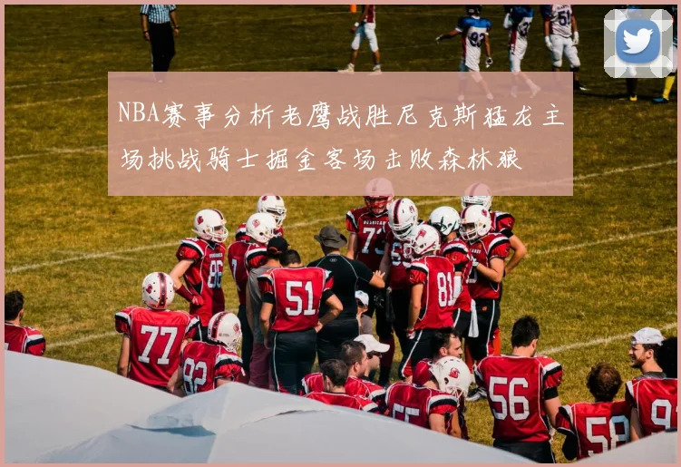 NBA赛事分析老鹰战胜尼克斯猛龙主场挑战骑士掘金客场击败森林狼