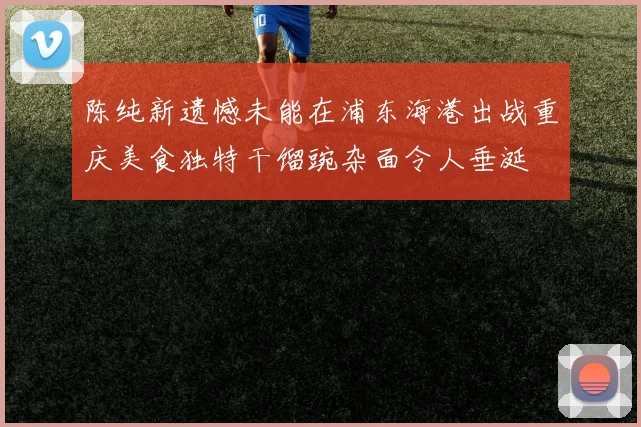 陈纯新遗憾未能在浦东海港出战重庆美食独特干馏豌杂面令人垂涎