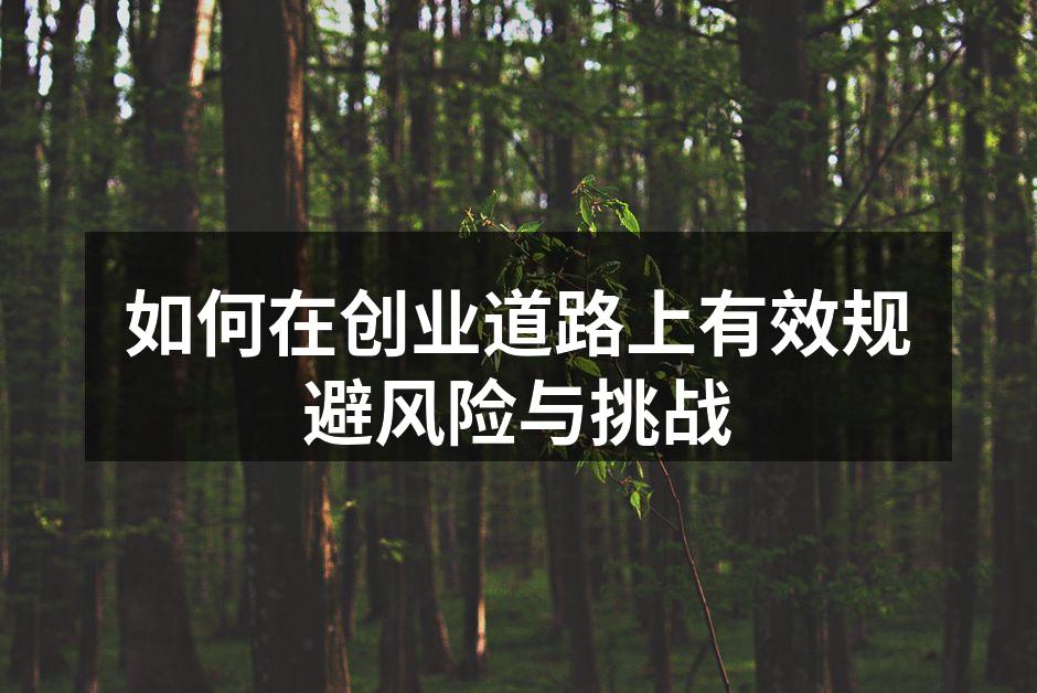 如何在创业道路上有效规避风险与挑战