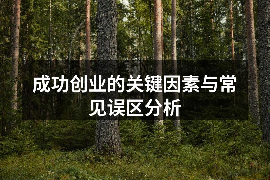 成功创业的关键因素与常见误区分析